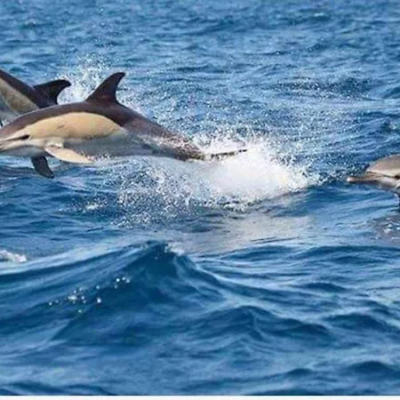 Vakantiehuis Chez Downtown Charm - Your Seaside Dream! *